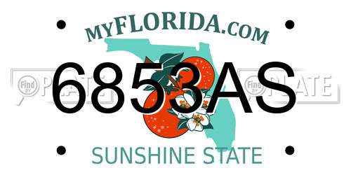 6853AS Florida License Plate