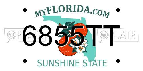 6855TT Florida License Plate