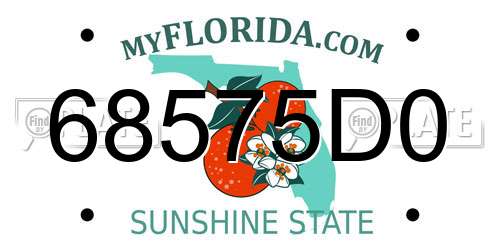 68575D0 Florida License Plate