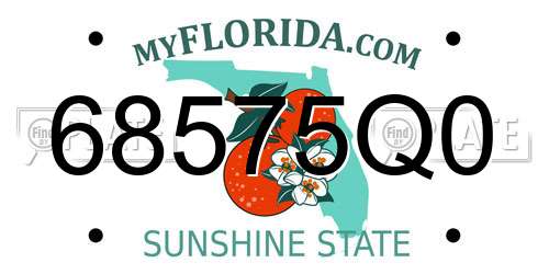 68575Q0 Florida License Plate