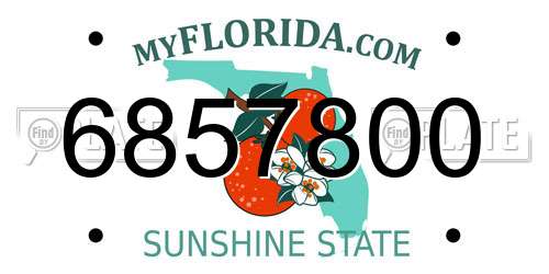 6857800 Florida License Plate