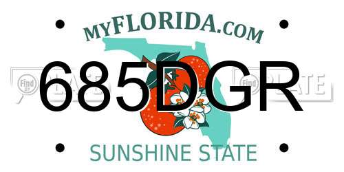 685DGR Florida License Plate