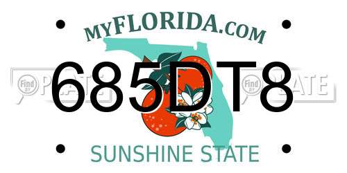 685DT8 Florida License Plate