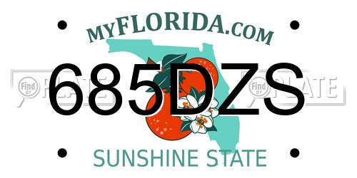 685DZS Florida License Plate