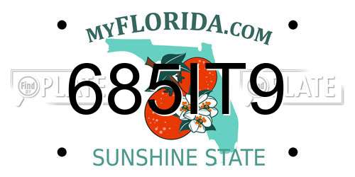 685IT9 Florida License Plate