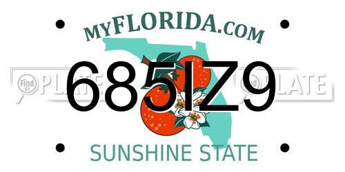 685IZ9 Florida License Plate