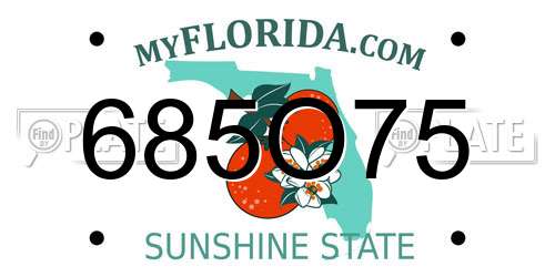 685O75 Florida License Plate