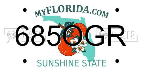 685OGR Florida License Plate