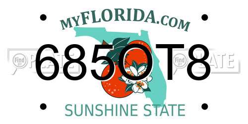 685OT8 Florida License Plate