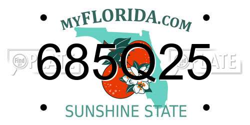685Q25 Florida License Plate
