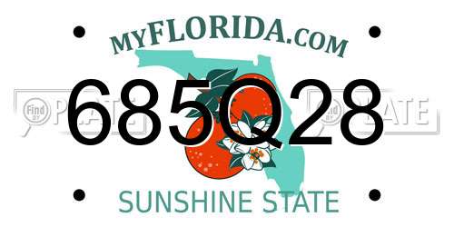 685Q28 Florida License Plate
