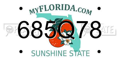 685Q78 Florida License Plate