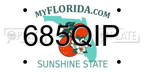 685QIP Florida License Plate