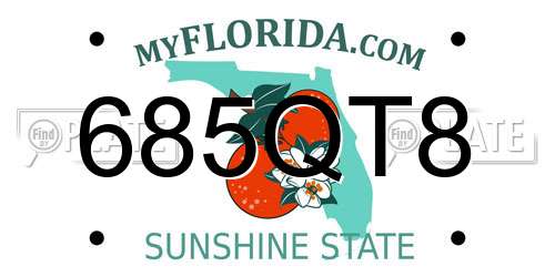 685QT8 Florida License Plate