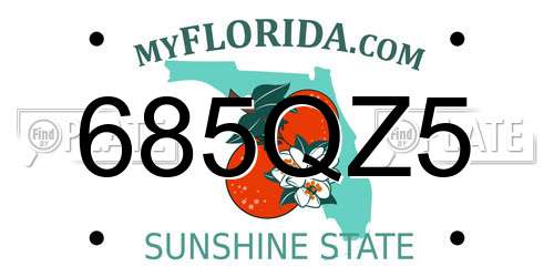 685QZ5 Florida License Plate