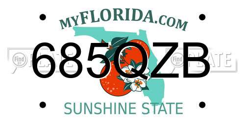 685QZB Florida License Plate