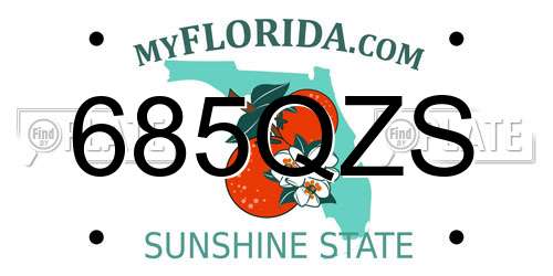 685QZS Florida License Plate
