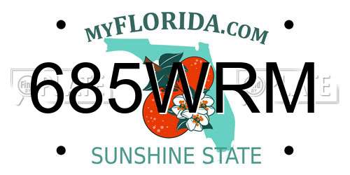 685WRM Florida License Plate