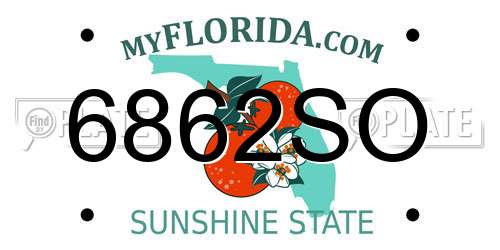 6862SO Florida License Plate