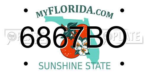 6867BO Florida License Plate
