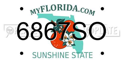 6867SO Florida License Plate
