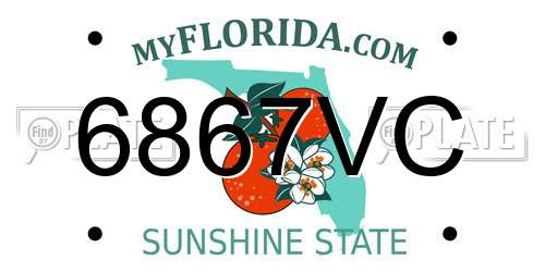6867VC Florida License Plate