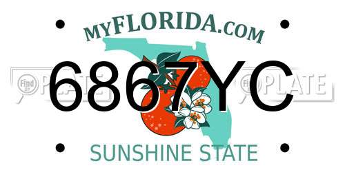 6867YC Florida License Plate