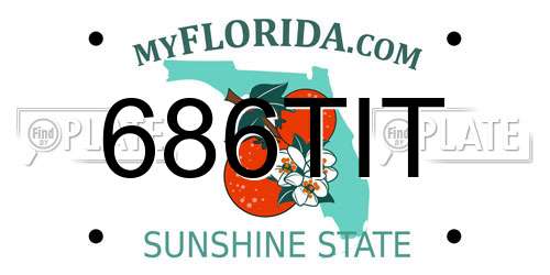 686TIT Florida License Plate