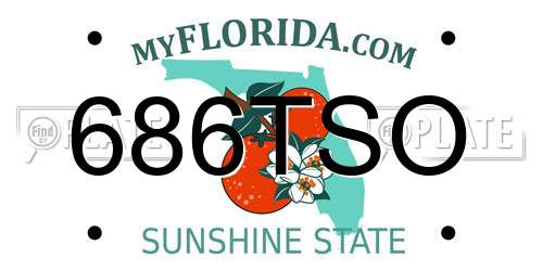 686TSO Florida License Plate