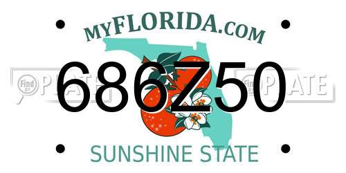 686Z50 Florida License Plate