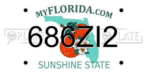 686ZI2 Florida License Plate