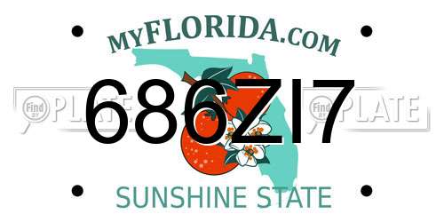 686ZI7 Florida License Plate