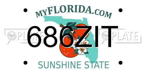 686ZIT Florida License Plate