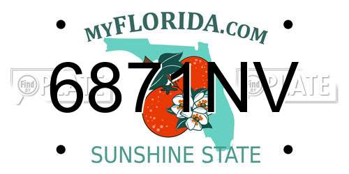 6871NV Florida License Plate