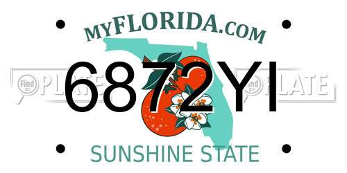 6872YI Florida License Plate