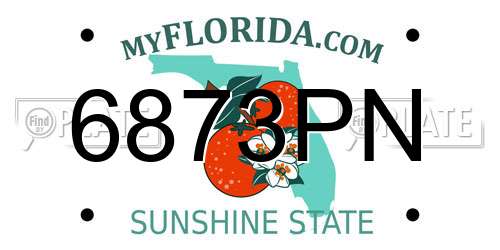 6873PN Florida License Plate