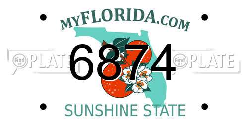 6874 Florida License Plate