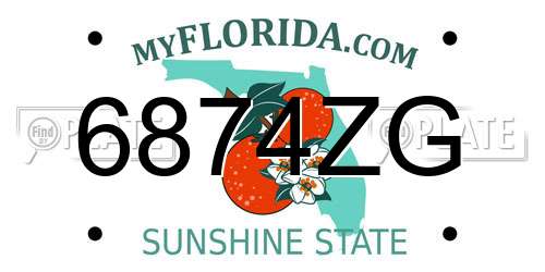 6874ZG Florida License Plate