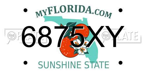 6875XY Florida License Plate