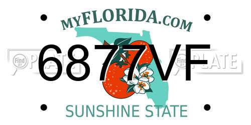 6877VF Florida License Plate