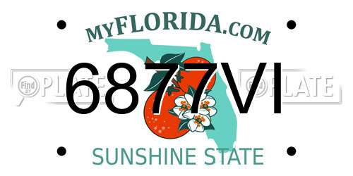 6877VI Florida License Plate