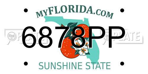 6878PP Florida License Plate