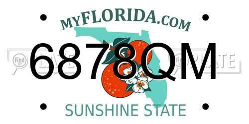 6878QM Florida License Plate