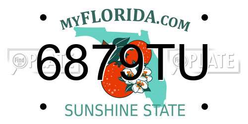 6879TU Florida License Plate