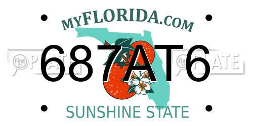 687AT6 Florida License Plate