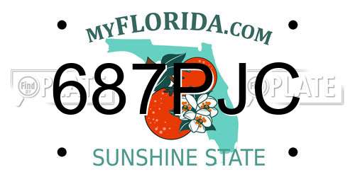 687PJC Florida License Plate