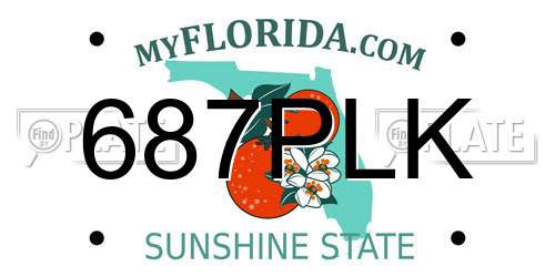 687PLK Florida License Plate