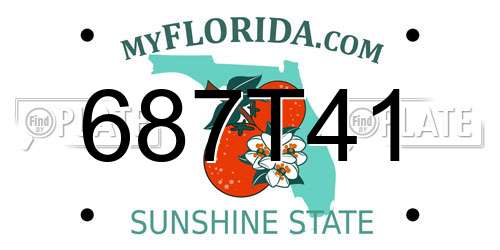 687T41 Florida License Plate