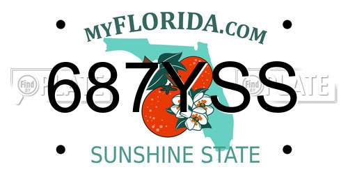 687YSS Florida License Plate