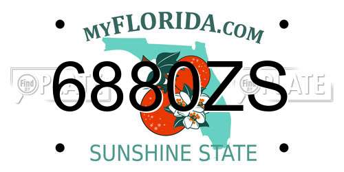 6880ZS Florida License Plate